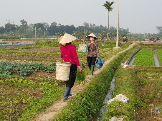 Hanoi Fabulous Food and Sights Tour